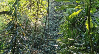 IMG_20200211_164519_1